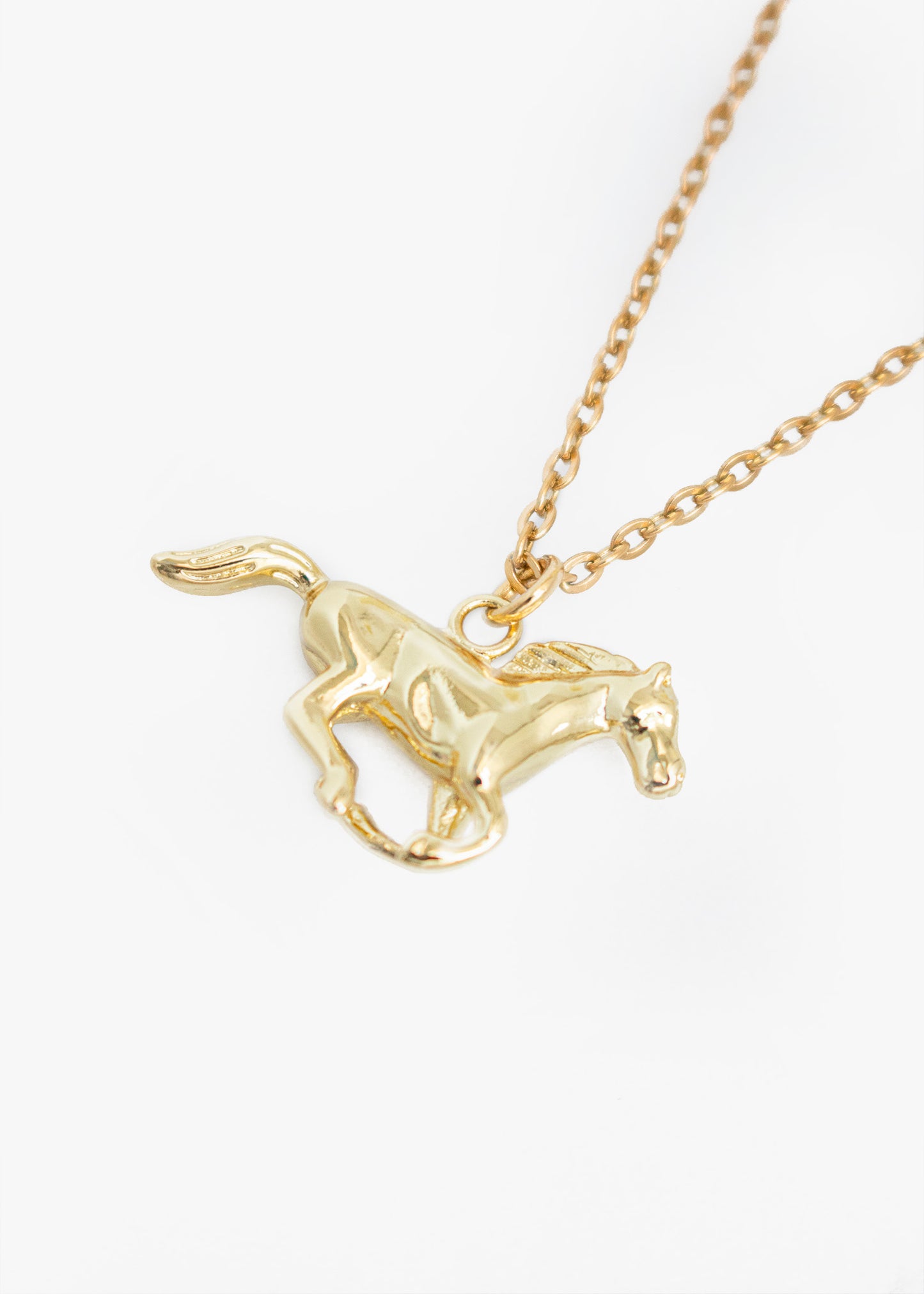 Collar Wild Spirit