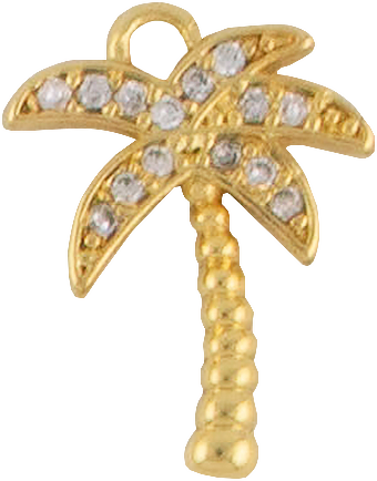 Palm